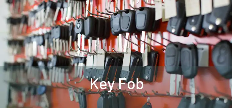  Key Fob 